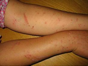 ����������м��Ч����õ����ļ�