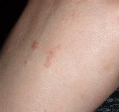 ţƤѢ���������������